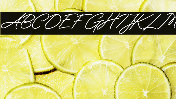 ReffinayaFREE Example 1