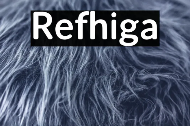 Refhiga Example 1