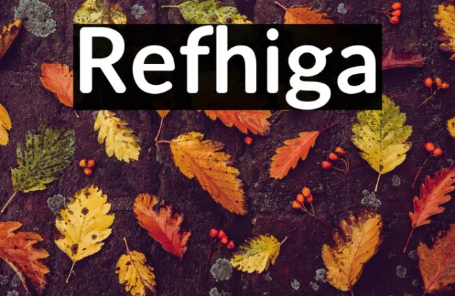 Refhiga Example 2