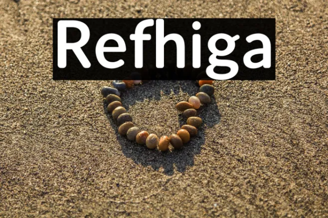 Refhiga Example 3