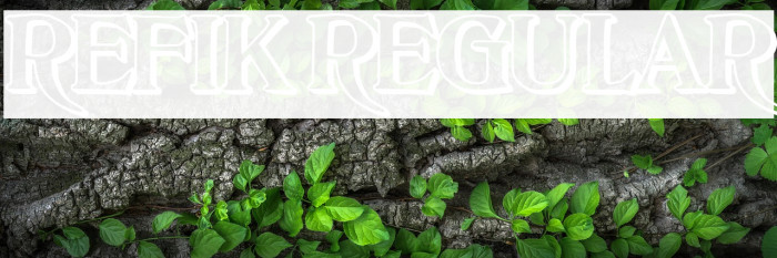 Refik Regular Example 1