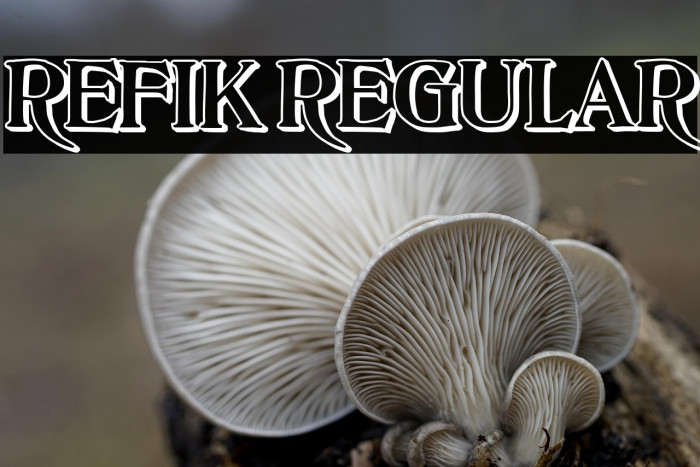 Refik Regular Example 3