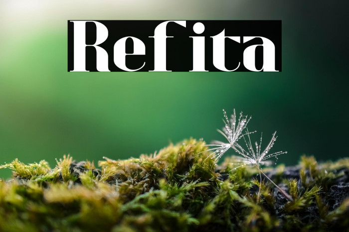Refita Example 3