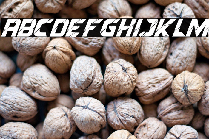 Reflected Italic Example 1