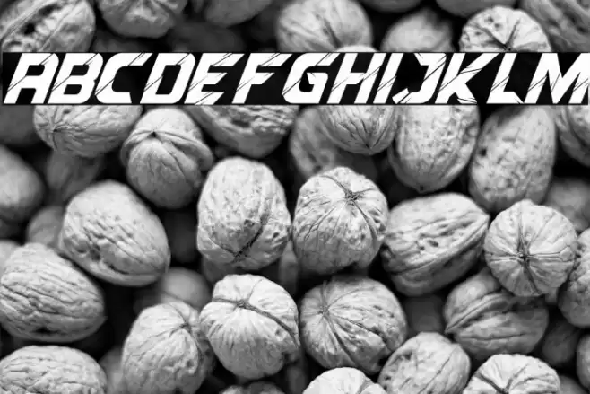 Reflected Italic Font examples