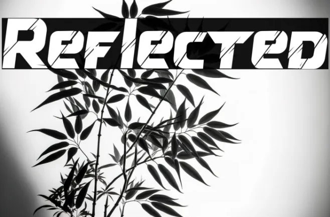 Reflected Example 3