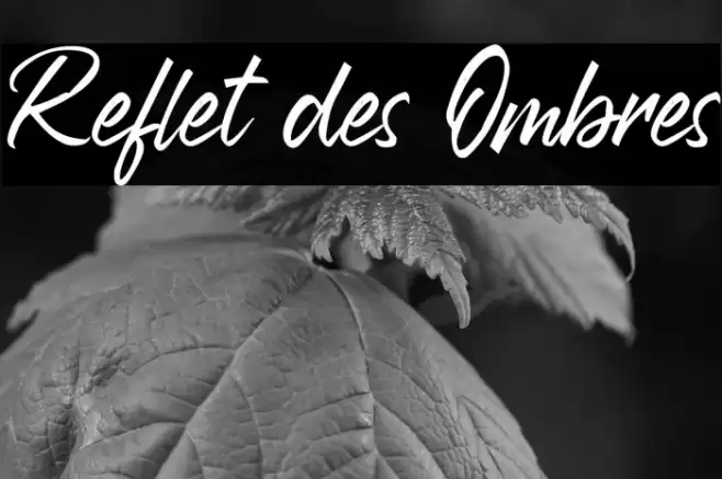 Reflet des Ombres Font examples