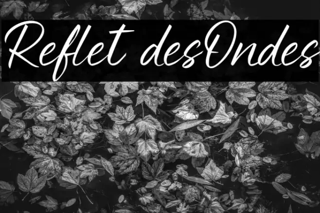 Reflet desOndes フォント examples