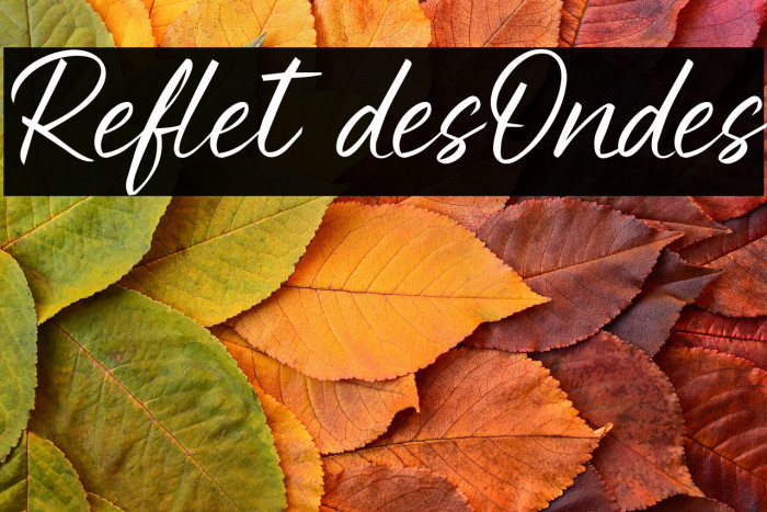 Reflet desOndes Example 2