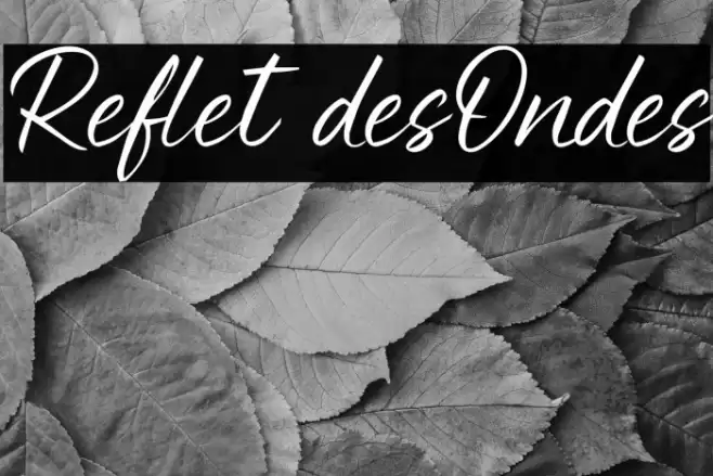 Reflet desOndes フォント examples