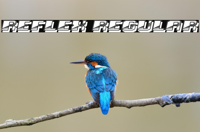 Reflex Regular Example 2