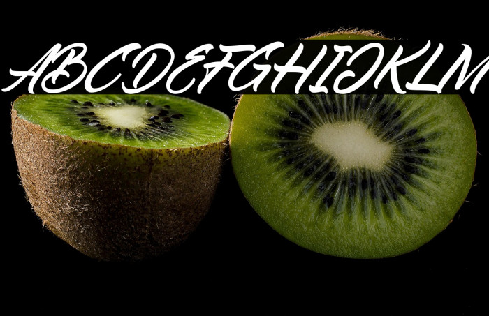 Reflisatta Italic Example 1