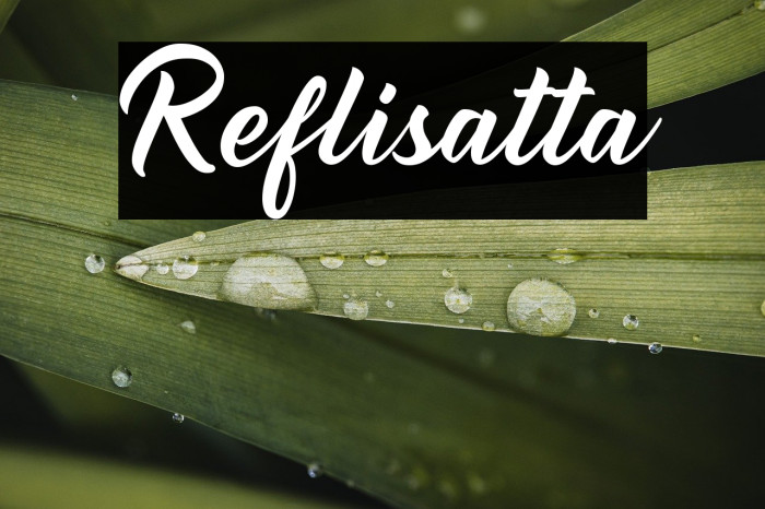 Reflisatta Example 2