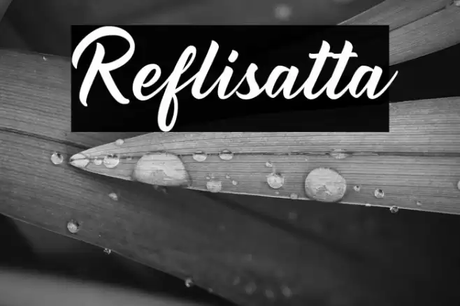 Reflisatta Font examples