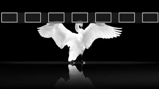 Refluxed Font examples