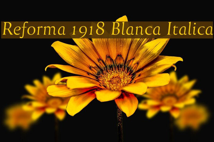Reforma 1918 Blanca Italica Font examples