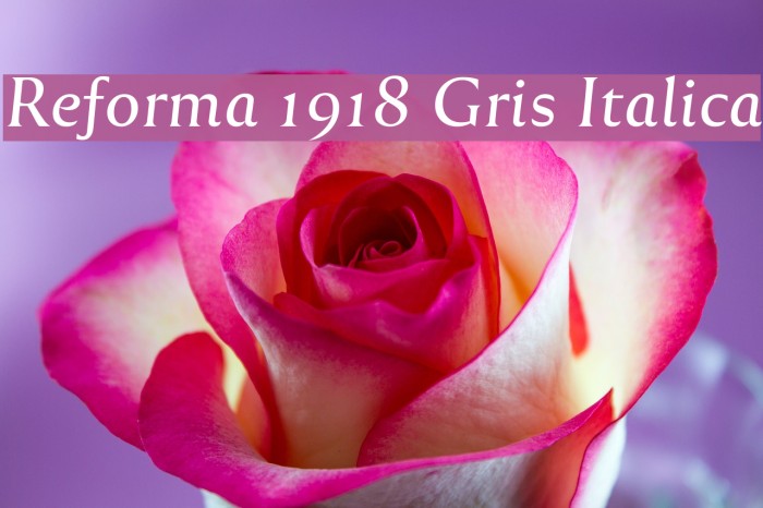 Reforma 1918 Gris Italica Font examples