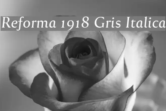 Reforma 1918 Gris Italica フォント examples