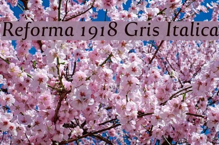 Reforma 1918 Gris Italica Font examples