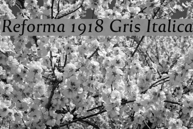 Reforma 1918 Gris Italica フォント examples