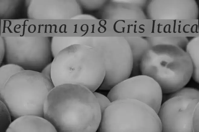 Reforma 1918 Gris Italica フォント examples