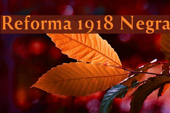Reforma 1918 Negra Fuentes examples