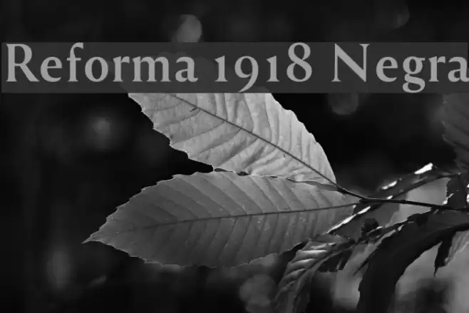 Reforma 1918 Negra Font examples