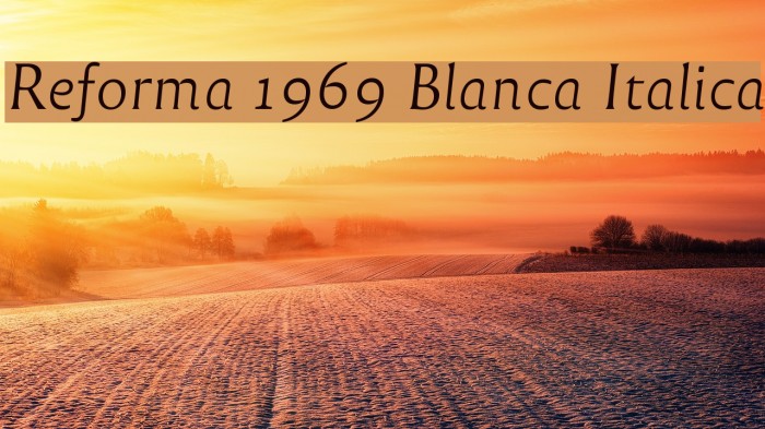 Reforma 1969 Blanca Italica Font examples
