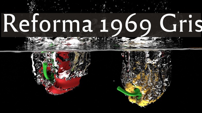 Reforma 1969 Gris Font examples