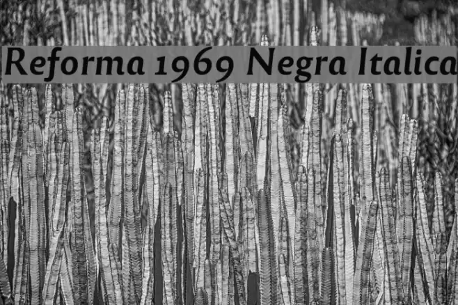 Reforma 1969 Negra Italica Font examples