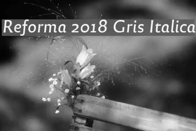 Reforma 2018 Gris Italica Font examples