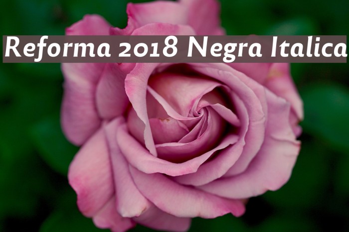 Reforma 2018 Negra Italica Font examples