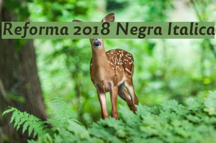 Reforma 2018 Negra Italica Font examples