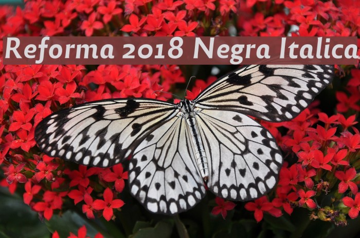Reforma 2018 Negra Italica Font examples