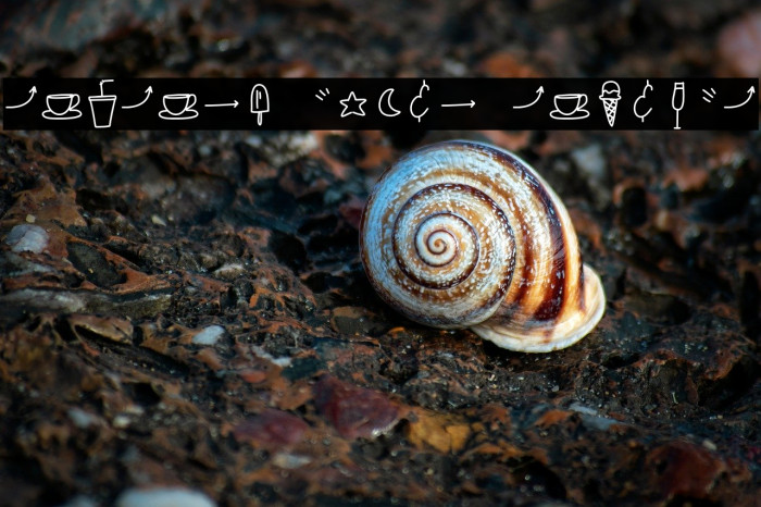 Refresh bonus Regular Example 3