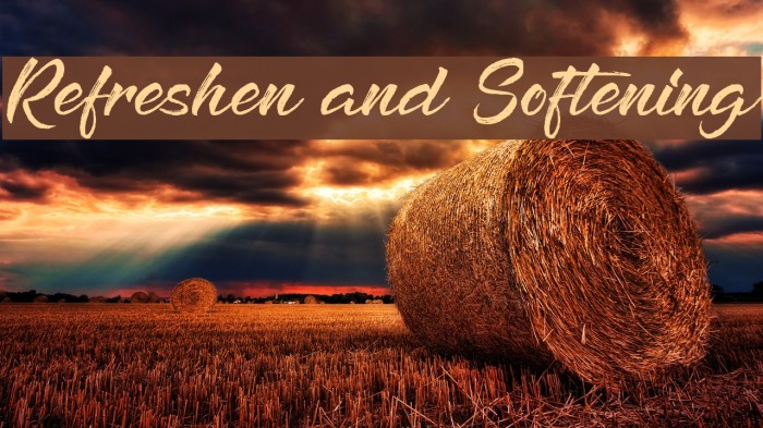 Refreshen and Softening Font examples