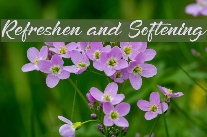 Refreshen and Softening Font examples