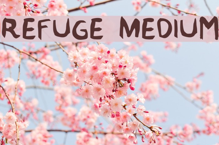 Refuge Medium Font examples