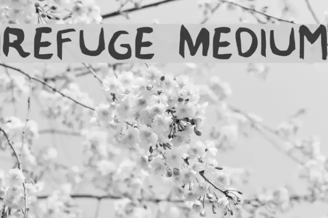 Refuge Medium Font examples