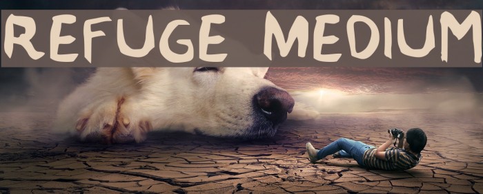 Refuge Medium Font examples