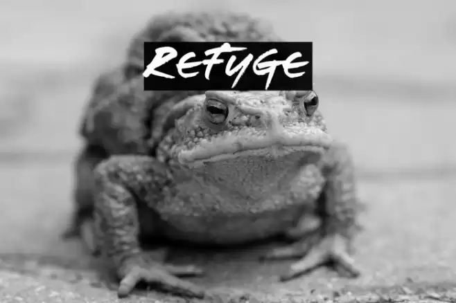 Refuge Schriftart examples