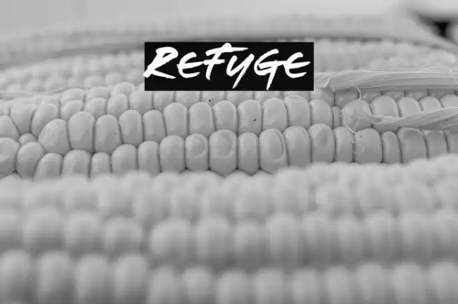 Refuge Schriftart examples