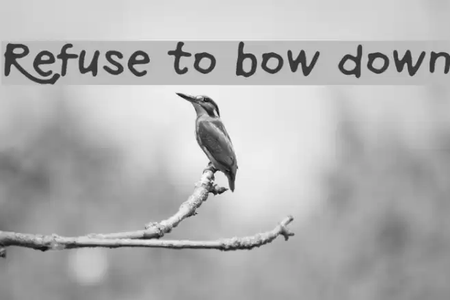 Refuse to bow down フォント examples