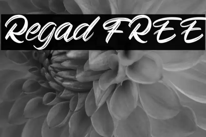 Regad FREE Font examples