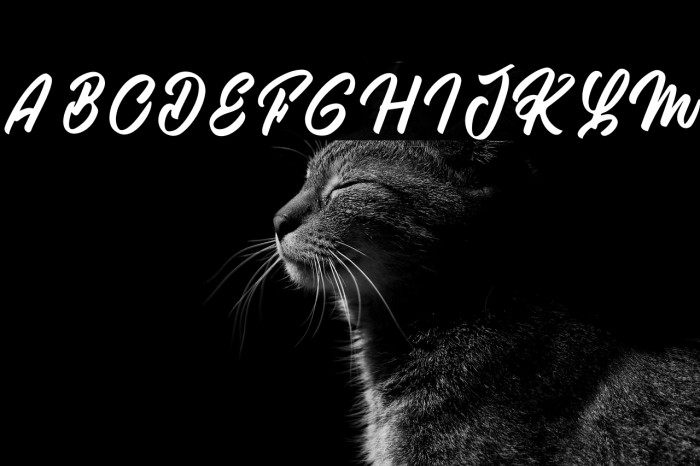 Regal Love Example 2