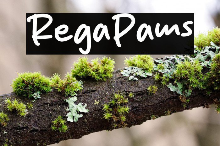 Regal Palms Example 3
