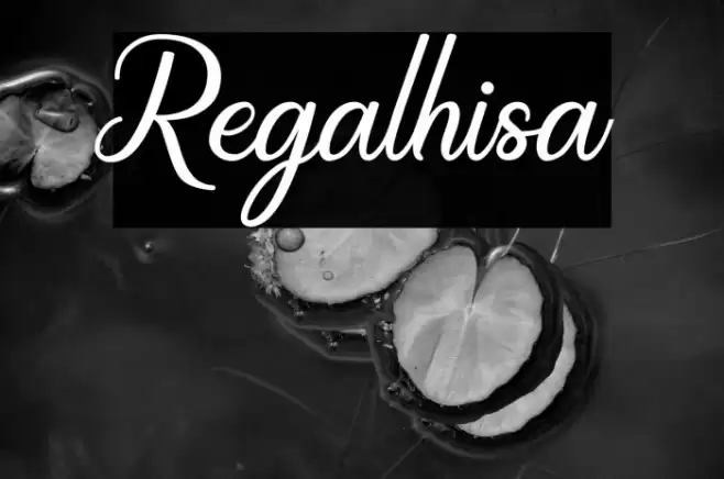 Regalhisa Font examples