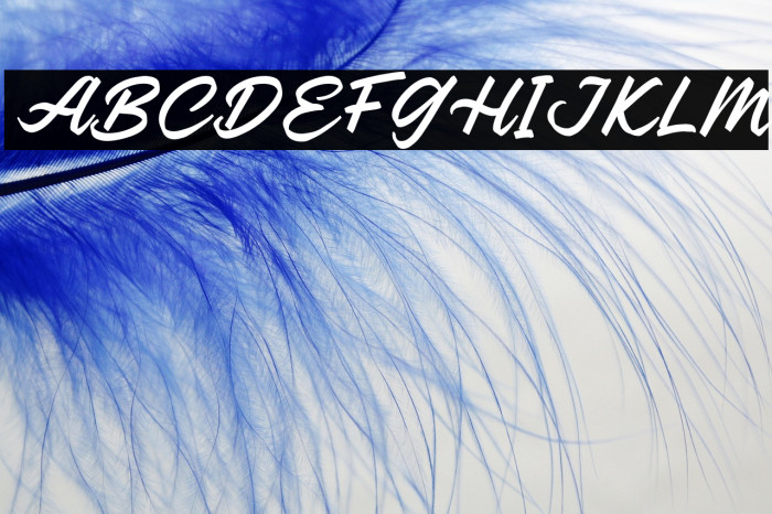 ReganDEMO-Regular Example 2