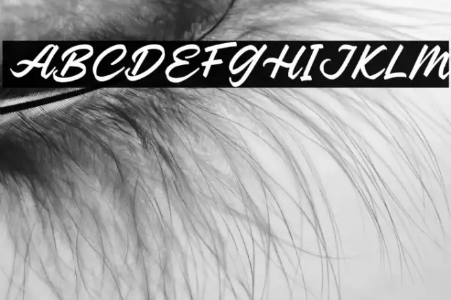 ReganDEMO-Regular Font examples