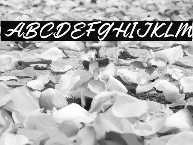 ReganDEMO-Regular Font examples